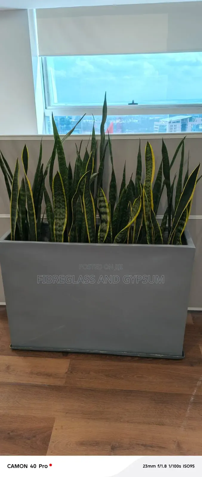 Fibreglass Planters
