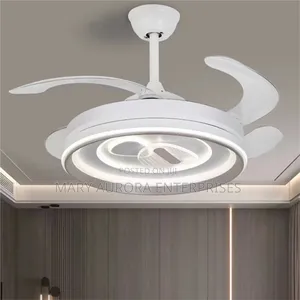 Ceiling Light With Fan