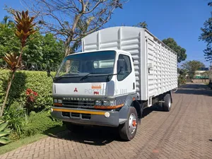 Mitsubishi Fuso 2018 White