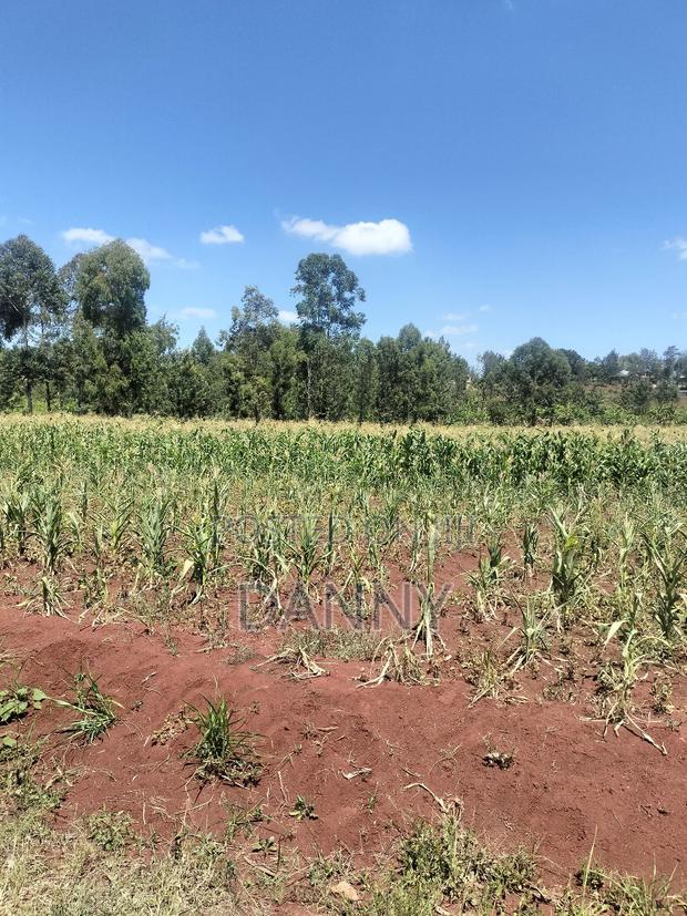 Quick Sale Half Acre on Kabati Kenol - main view