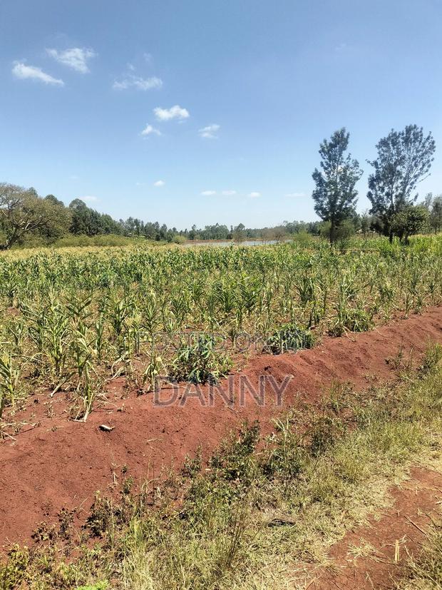 Quick Sale Half Acre on Kabati Kenol - thumbnail 2