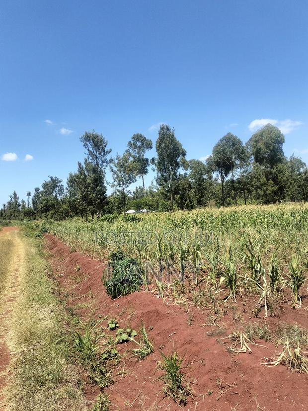 Quick Sale Half Acre on Kabati Kenol - thumbnail 6