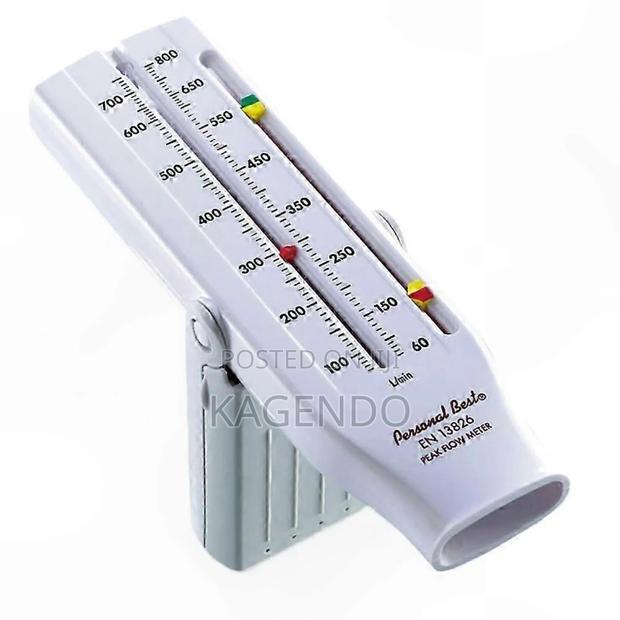 Peak Flow Meter – Respiratory Monitoring Device - main view