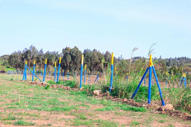 Kikuyu Prime Plots - main view