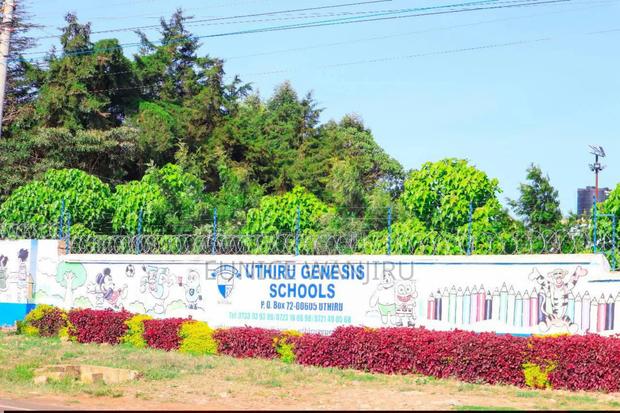 Kikuyu Prime Plots - thumbnail 5