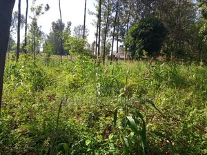 50 by 100 Plot on Sale at Muran'ga