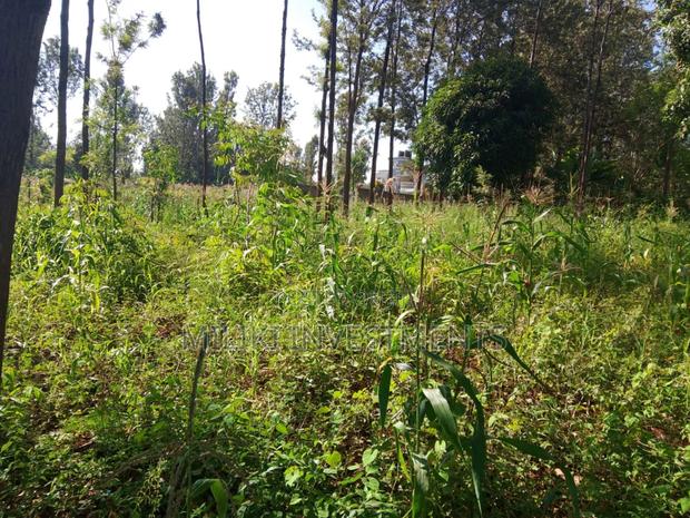 50 by 100 Plot on Sale at Muran'ga - thumbnail 3