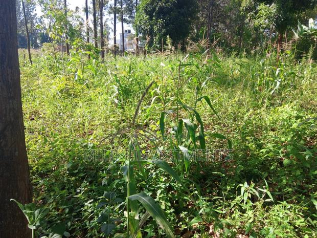 50 by 100 Plot on Sale at Muran'ga - thumbnail 4