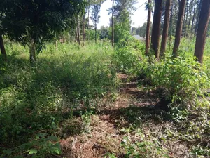 50 by 100 Plot on Sale at Muran'ga