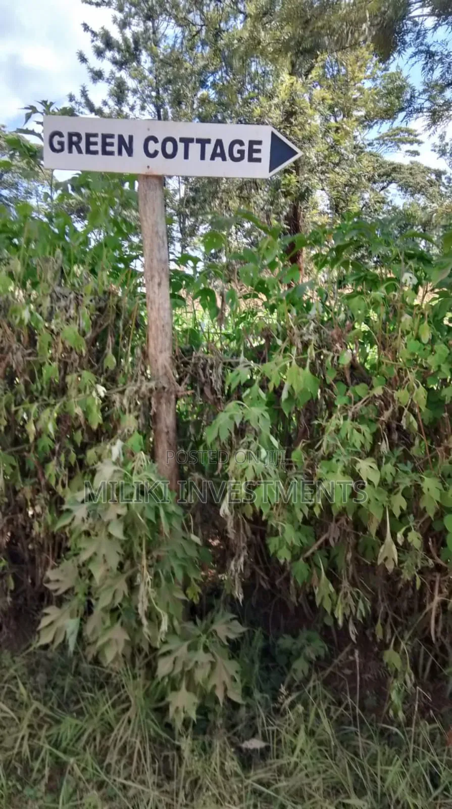 50 by 100 Plot on Sale at Muran'ga