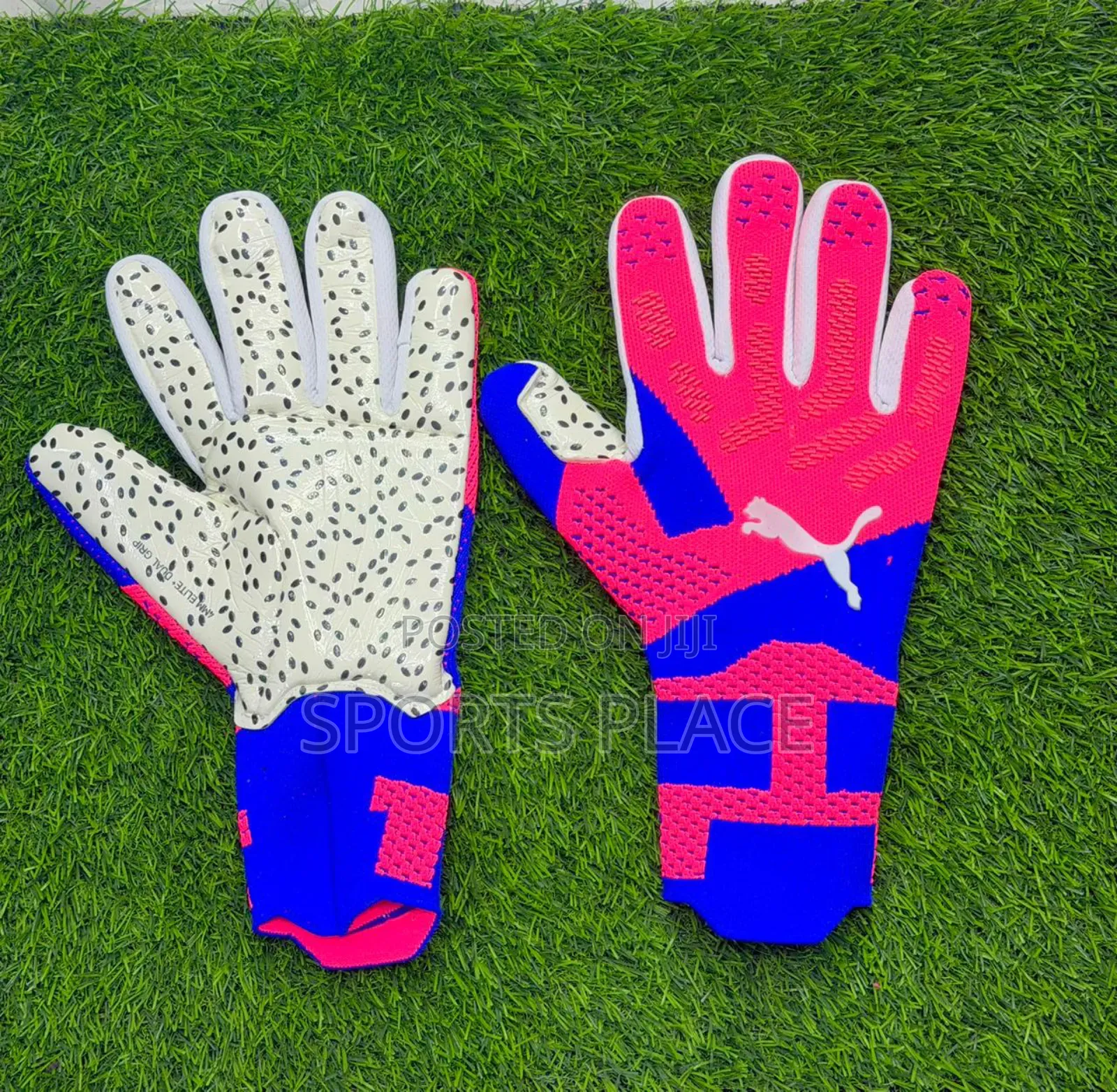 Elite Puma Goalkeeper Gloves