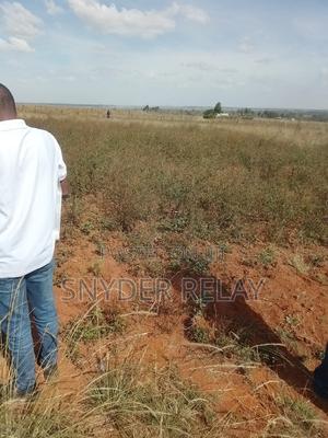 Plots of Land - main view