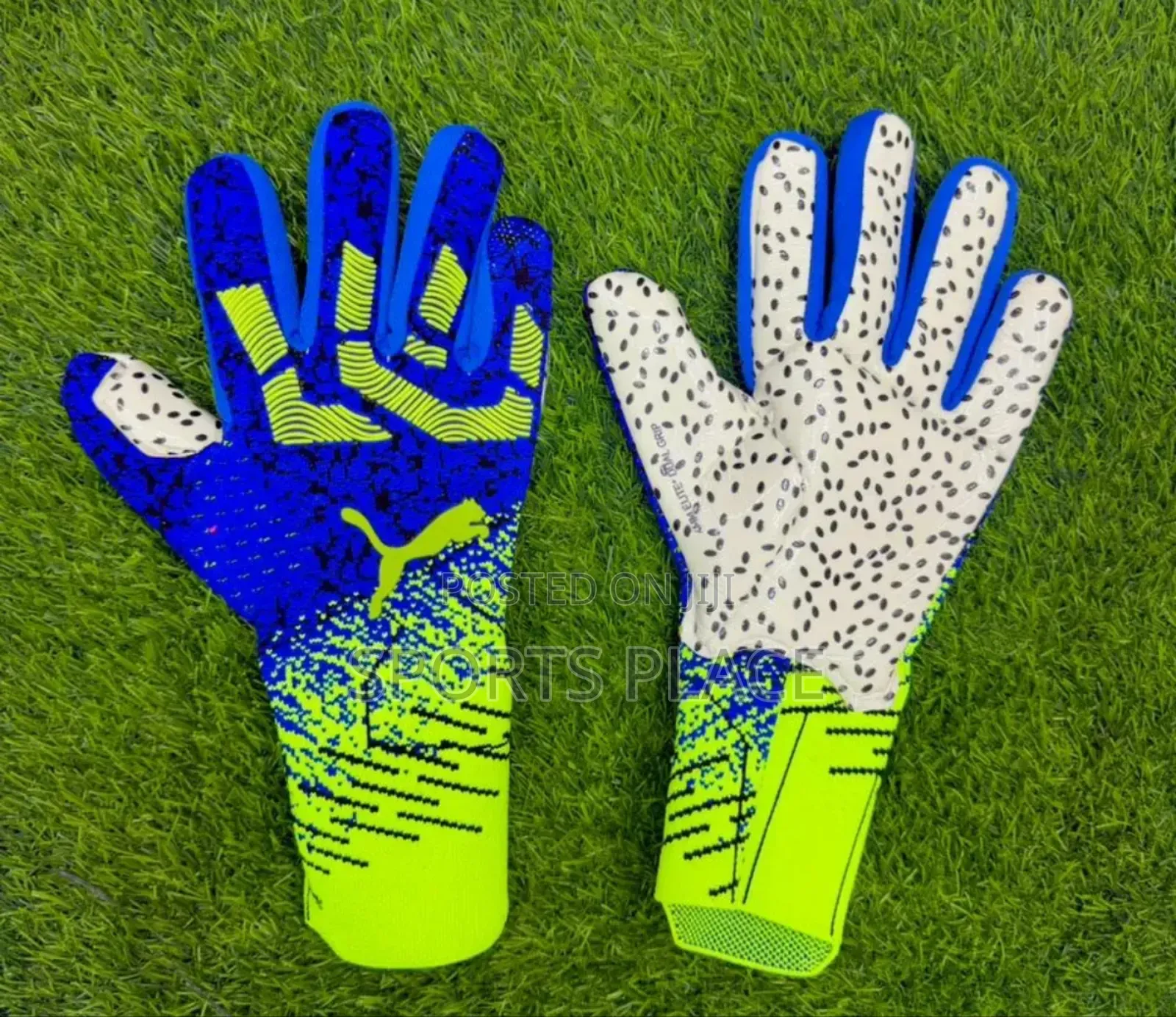 Puma Electric Hands Goalkeeper Gloves