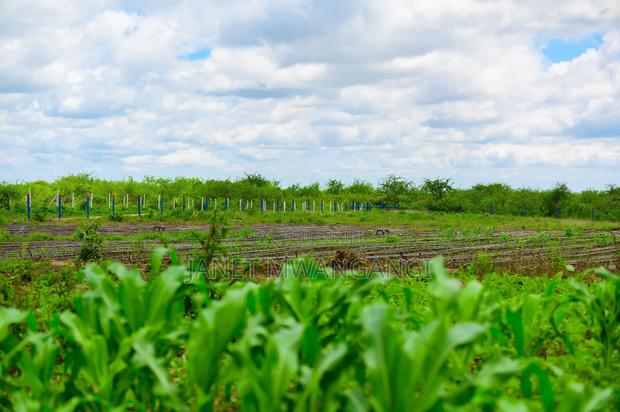 Matuu Plots for Sale - thumbnail 4