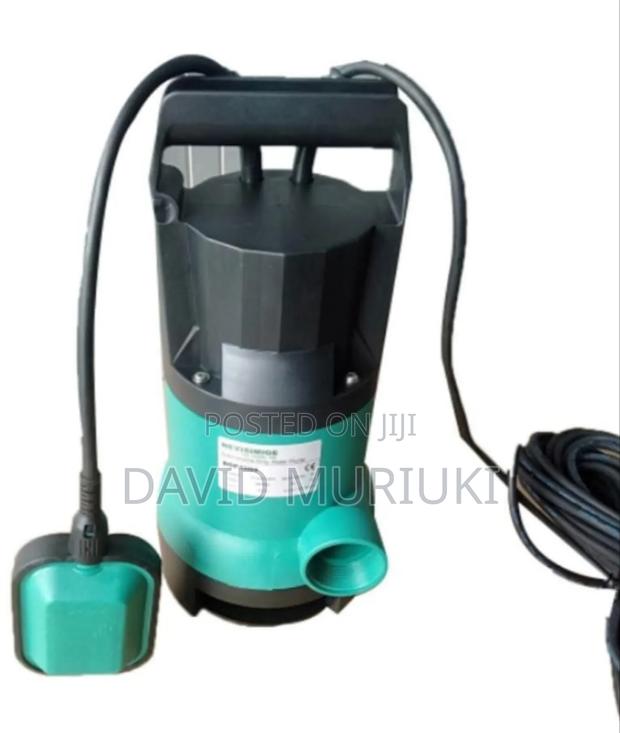 The 500w Sumerdible Pump - main view