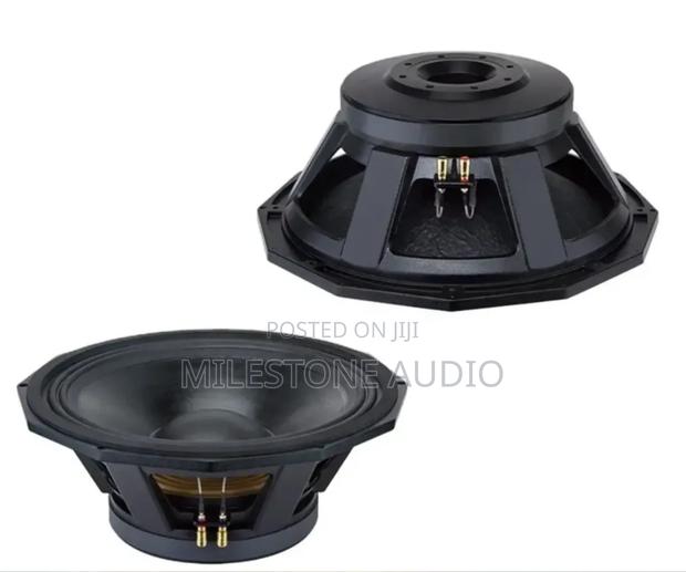Pd 1880 Naked Speaker
