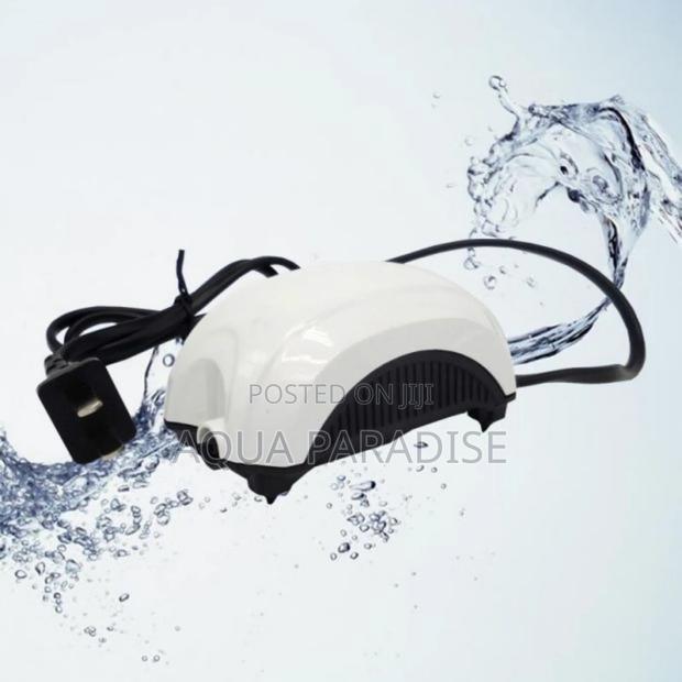 Aquarium 2 Nozzle Airpump - main view