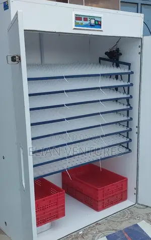 New Arrival 2112 Eggs Incubator