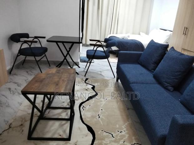 Airbnb Studio in Nanyuki - main view