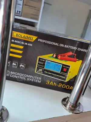 Bolaimei BLM-866c Intelligent Fast Battery Charger 12v/24v
