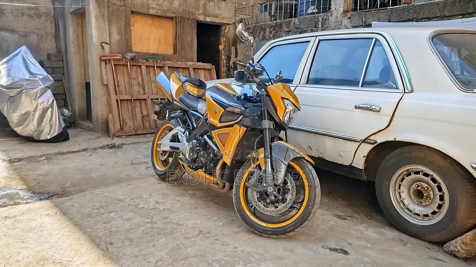Suzuki 2008 Gold