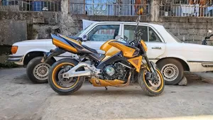 Suzuki 2008 Gold