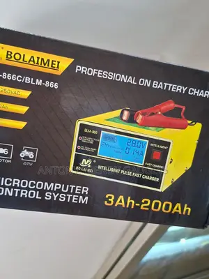 Bolaimei Blm-866c Smart Pulse Battery Charger 12v/24v