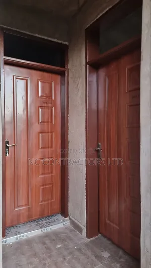 Flush Door