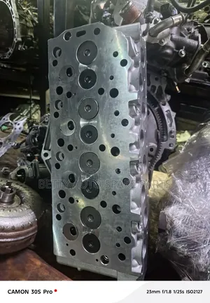 Ford 56 Cylinder Head
