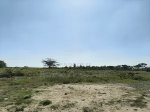 Quarter Acre Plot on Sale in Ongata Rongai, Maasai Lodge Near Nazarene