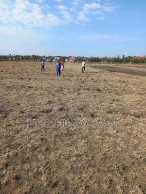 Plots for Sale - thumbnail 2