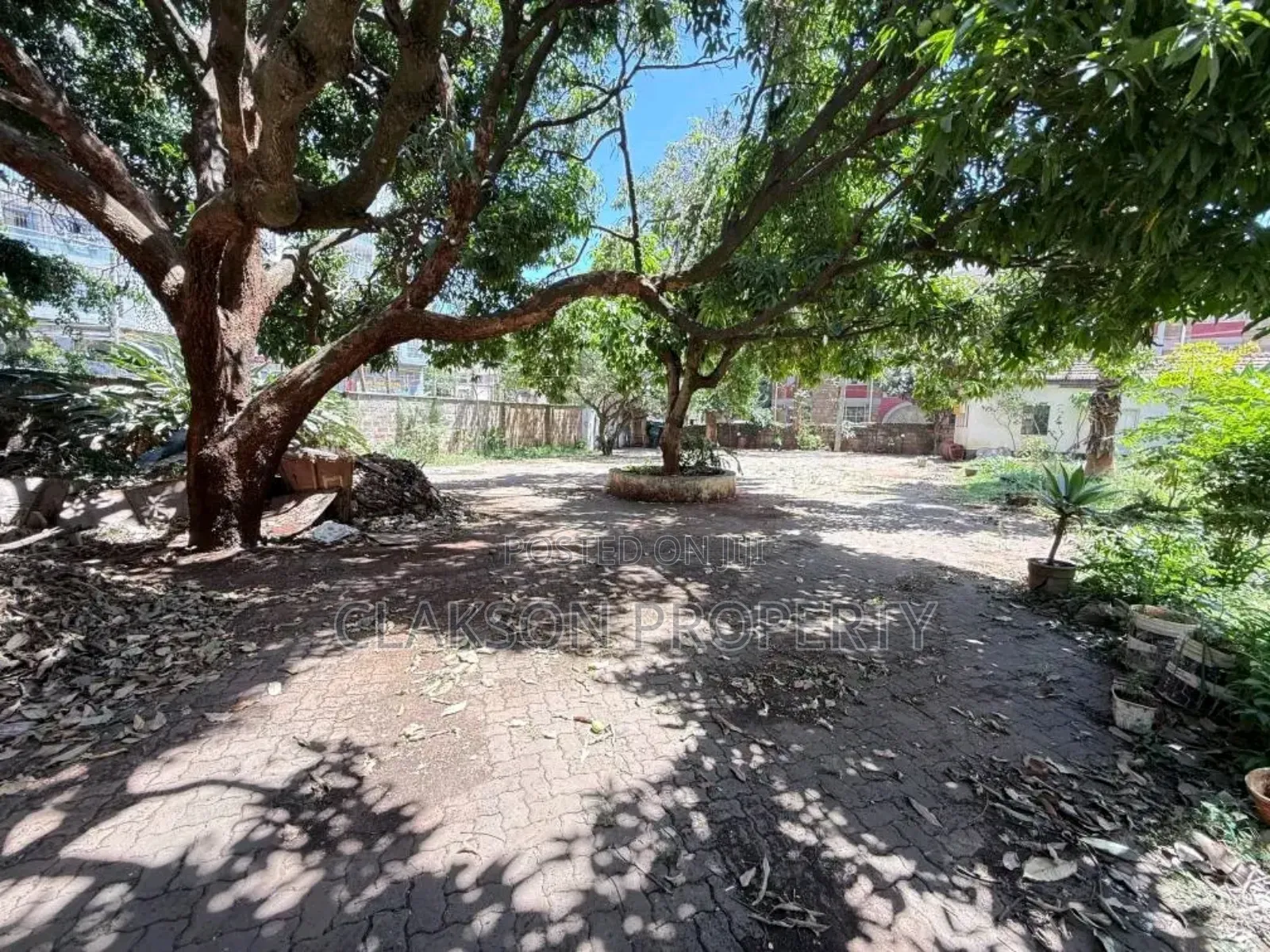 Commercial House for Rent