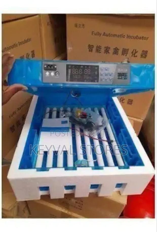 64 Eggs Ac/Dc Eggs Incubator