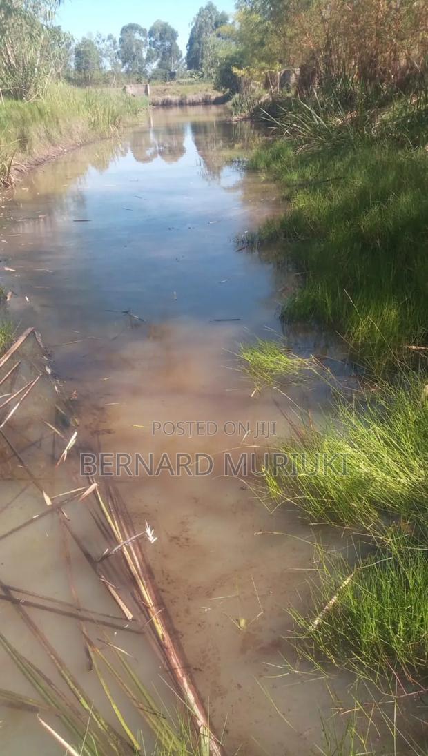 5 Acres in Muranga, Gatanga, Kigio for Lease - thumbnail 7