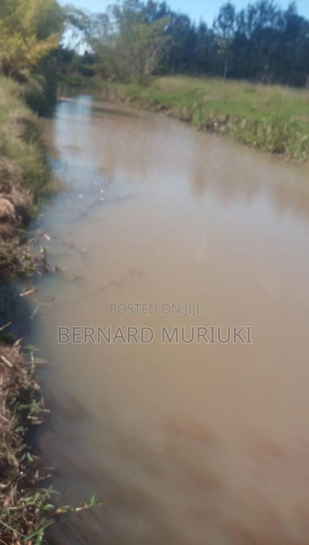 5 Acres in Muranga, Gatanga, Kigio for Lease - thumbnail 8
