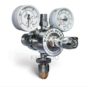Dual Oxygen Regulator – Medical Gas Control Device
