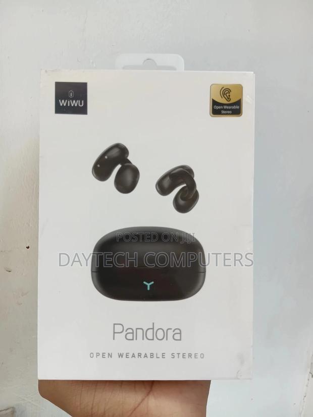 Wiwu Pandora TWS Wireless Earphone T17 - Black