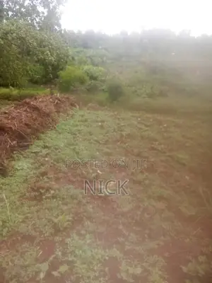 Land Sale in Kiambu Area Neighboring Golf Course