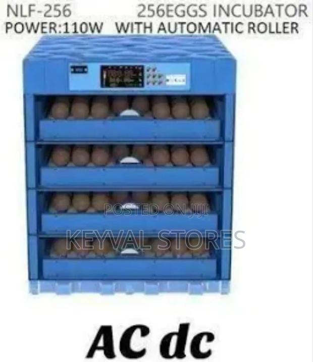 256 Eggs Ac/Dc Automatic Incubator