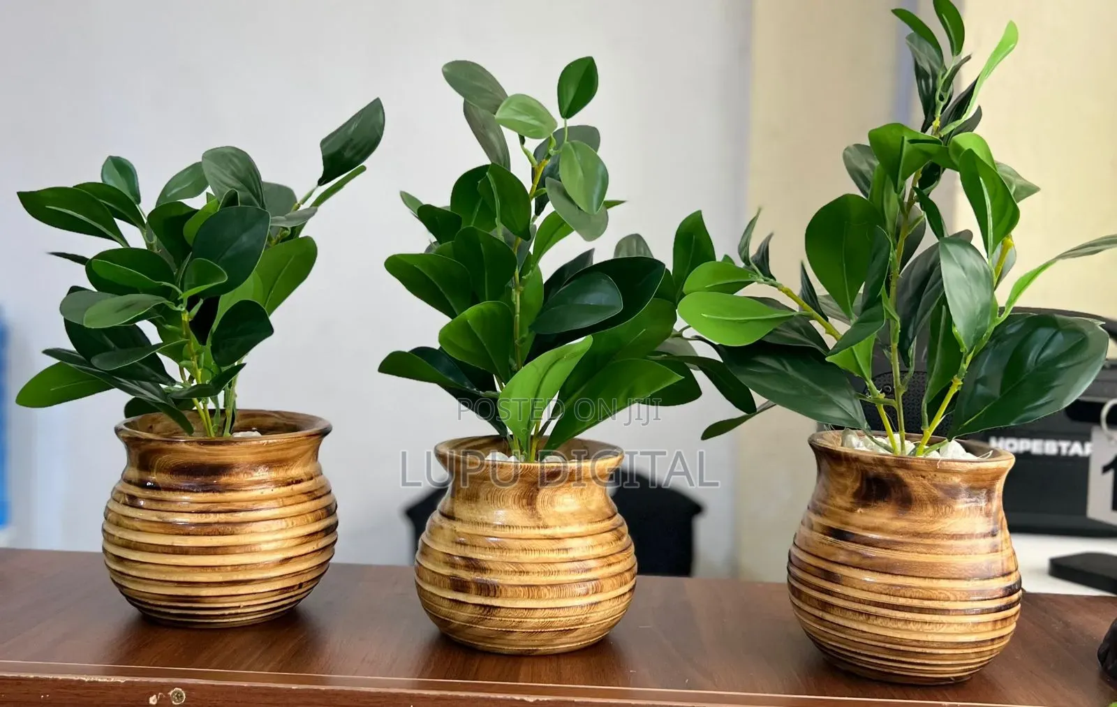 Potted Evergreen Articial Plant