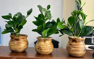 Potted Evergreen Articial Plant