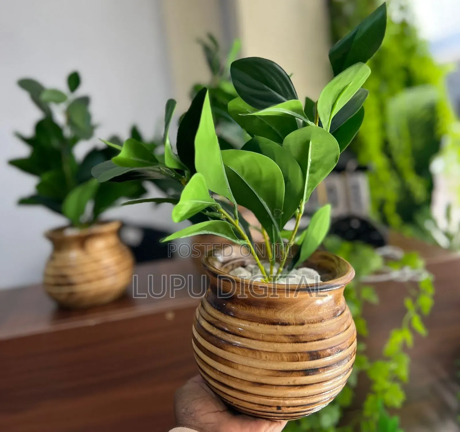 Potted Evergreen Articial Plant