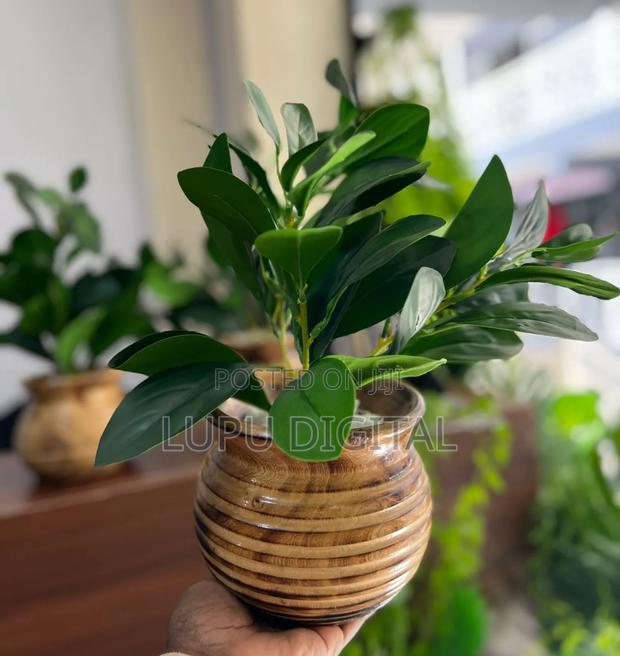Potted Evergreen Articial Plant - thumbnail 3