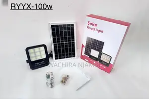 100w Solar Flood Light