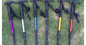 *Anti Shock Trekking Pole
