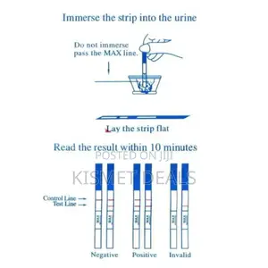 10 Ovultion Lh Test Strips