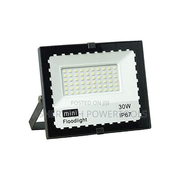 Mini Super Bright 30w Led Floodlight
