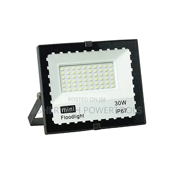 Mini Super Bright 30w Led Floodlight