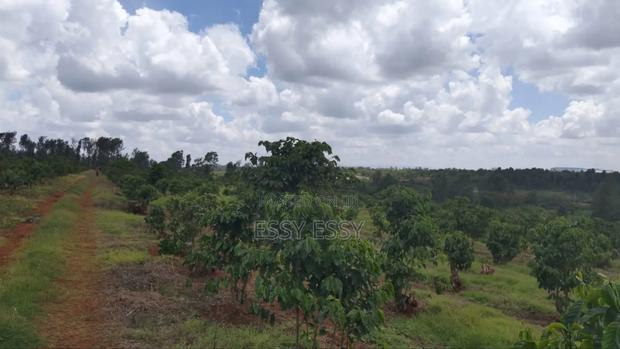 Prime Acres Along Ruiru-Githunguri Road - thumbnail 3