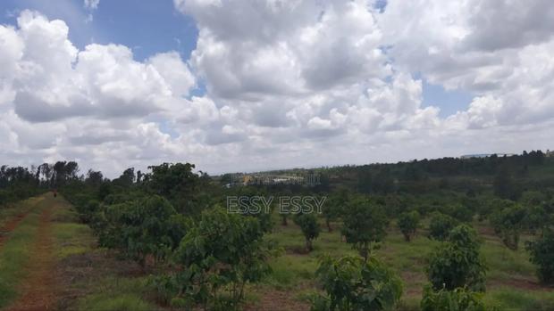 Prime Acres Along Ruiru-Githunguri Road - thumbnail 5